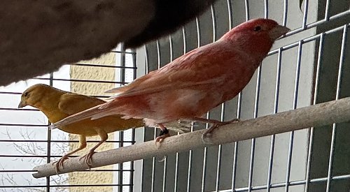 Begrüßung von 2 neue Mitarbeitern - charmant & fröhlich