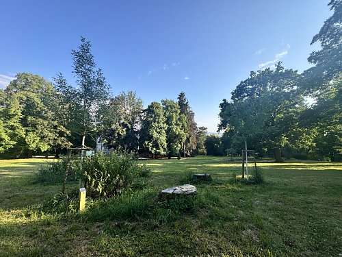 Besuch bei Fraxinus angustifolia und Fraxinus excelsior �Diversifolia� 